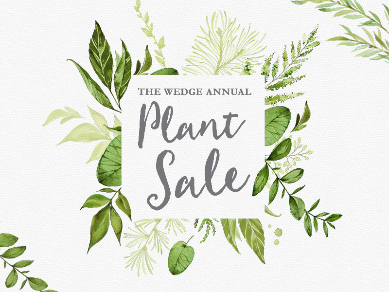 2017 Plant Sale
